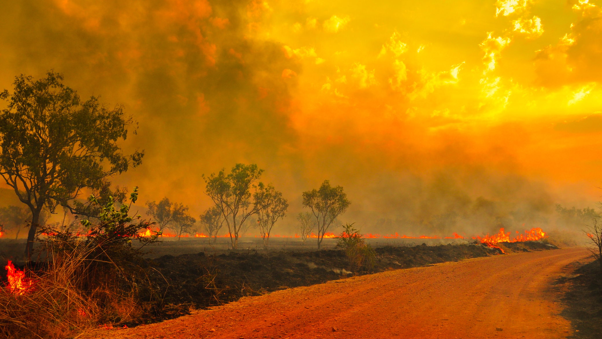 Australian bush fires