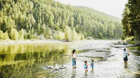Family wading and playing in river on summer afternoon